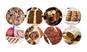 8 Gr8 Vegan Gingerbread Recipes
