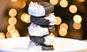 Chocolate Peppermint Charcoal Cookies