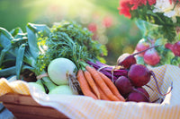  Plant-Based Diet