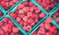 Raspberries